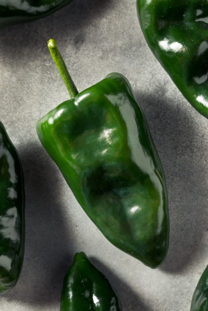 This is a closeup of a poblano pepper.