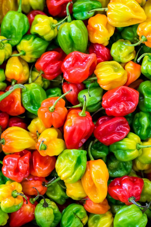 How To Store Habanero Peppers: The Quick Guide - Foodie FAQ