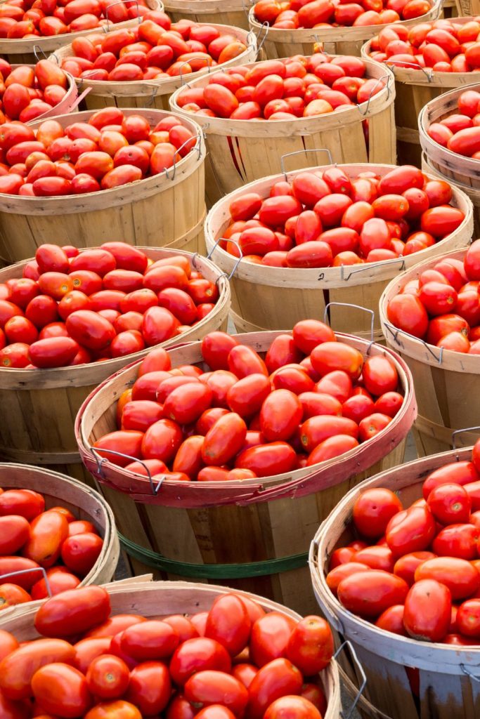 This is Roma tomatoes in baskets.