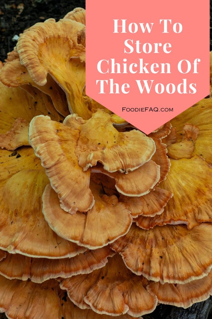 This is chicken of the woods.