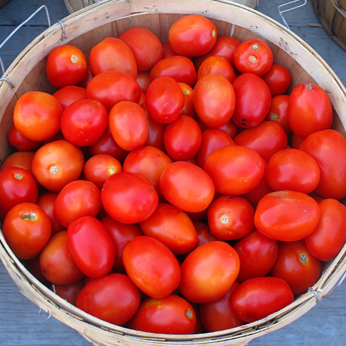 This is Roma tomatoes in a basket.