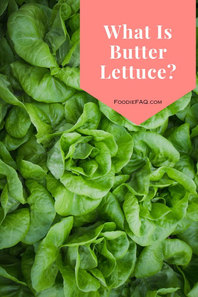 This is butter lettuce.