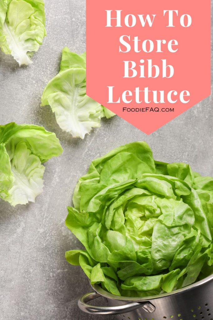 How To Store Bibb Lettuce